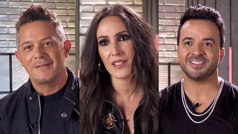 Los consejos de Alejandro Sanz, Malú y Luis Fonsi a Pablo Alborán para ser un buen coach de 'La Voz' Los consejos de Alejandro Sanz, Malú y Luis Fonsi a Pablo Alborán para ser un buen coach de 'La Voz'