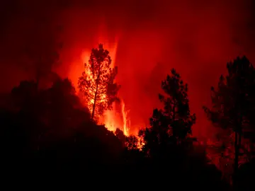 Incendios forestales de sexta generación Incendios forestales de sexta generación