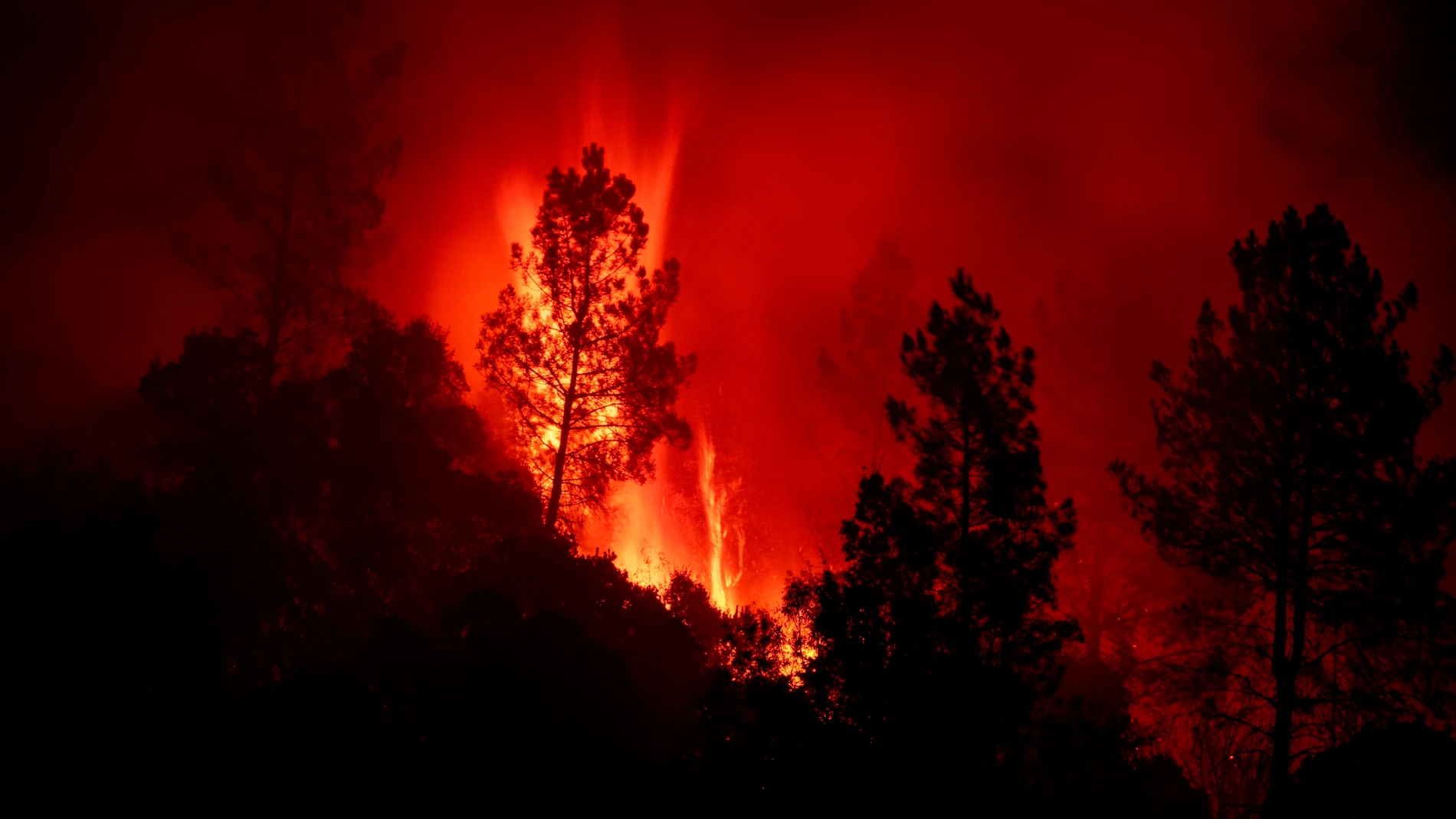 Incendios forestales de sexta generación