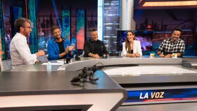 Viaje al pasado con los coaches de 'La Voz': ¿cuál fue su golpe de suerte?