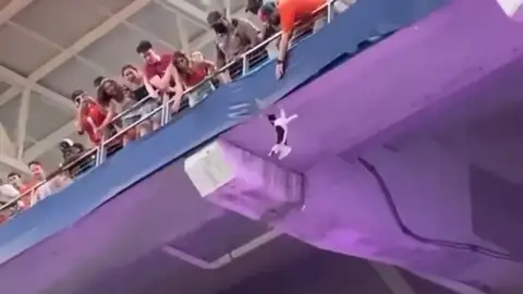 El público rescata a un gato que quedó colgando de la grada en un estadio de Florida El público rescata a un gato que quedó colgando de la grada en un estadio de Florida