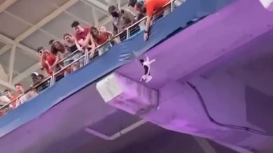 El público rescata a un gato que queda colgando de la grada en un estadio de Florida