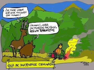 La ola de 'incendios criminales', en la viñeta gráfica de Alfredo Boto-Hervás