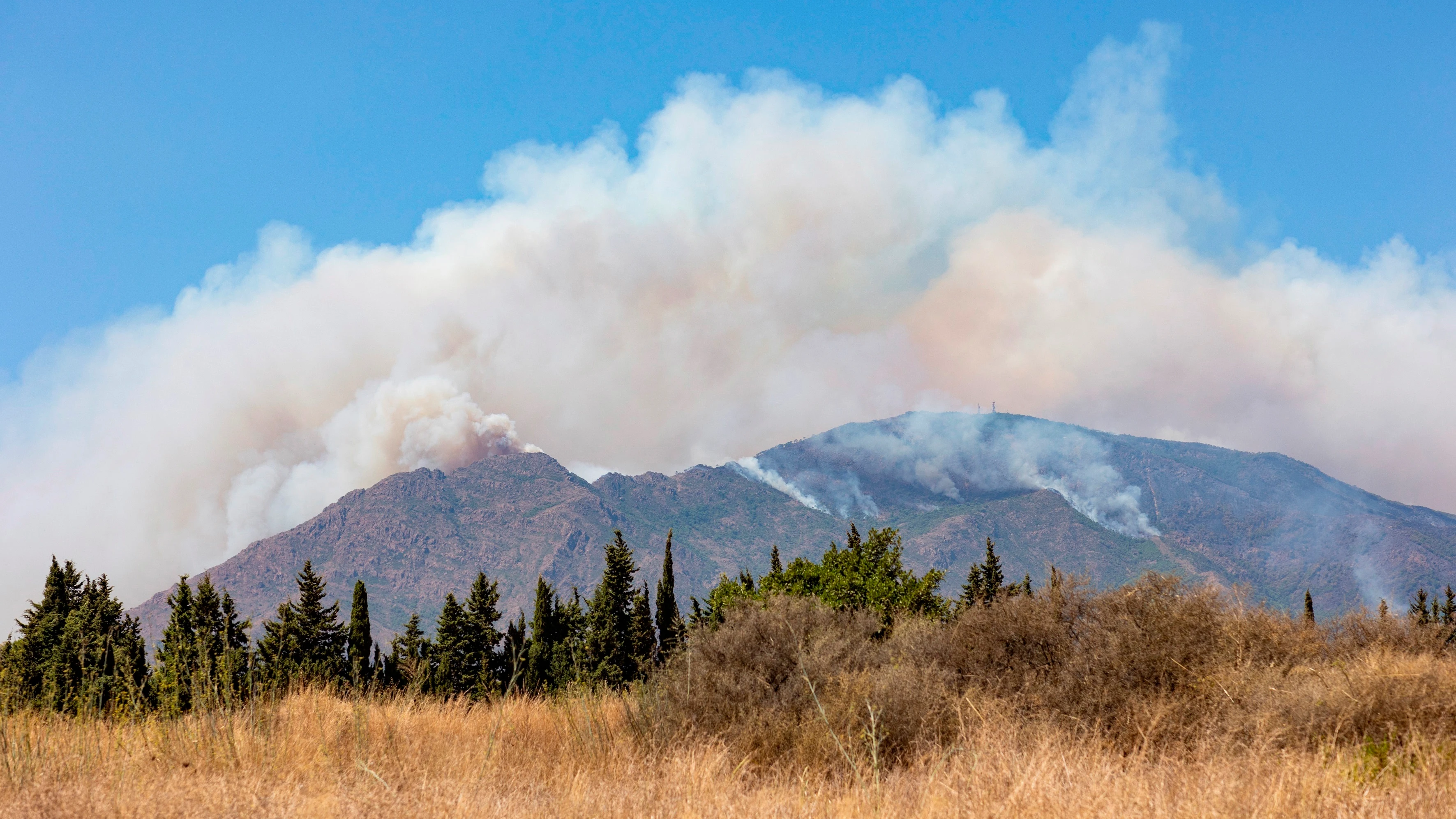 Incendio Sierra Bermeja Incendio Sierra Bermeja