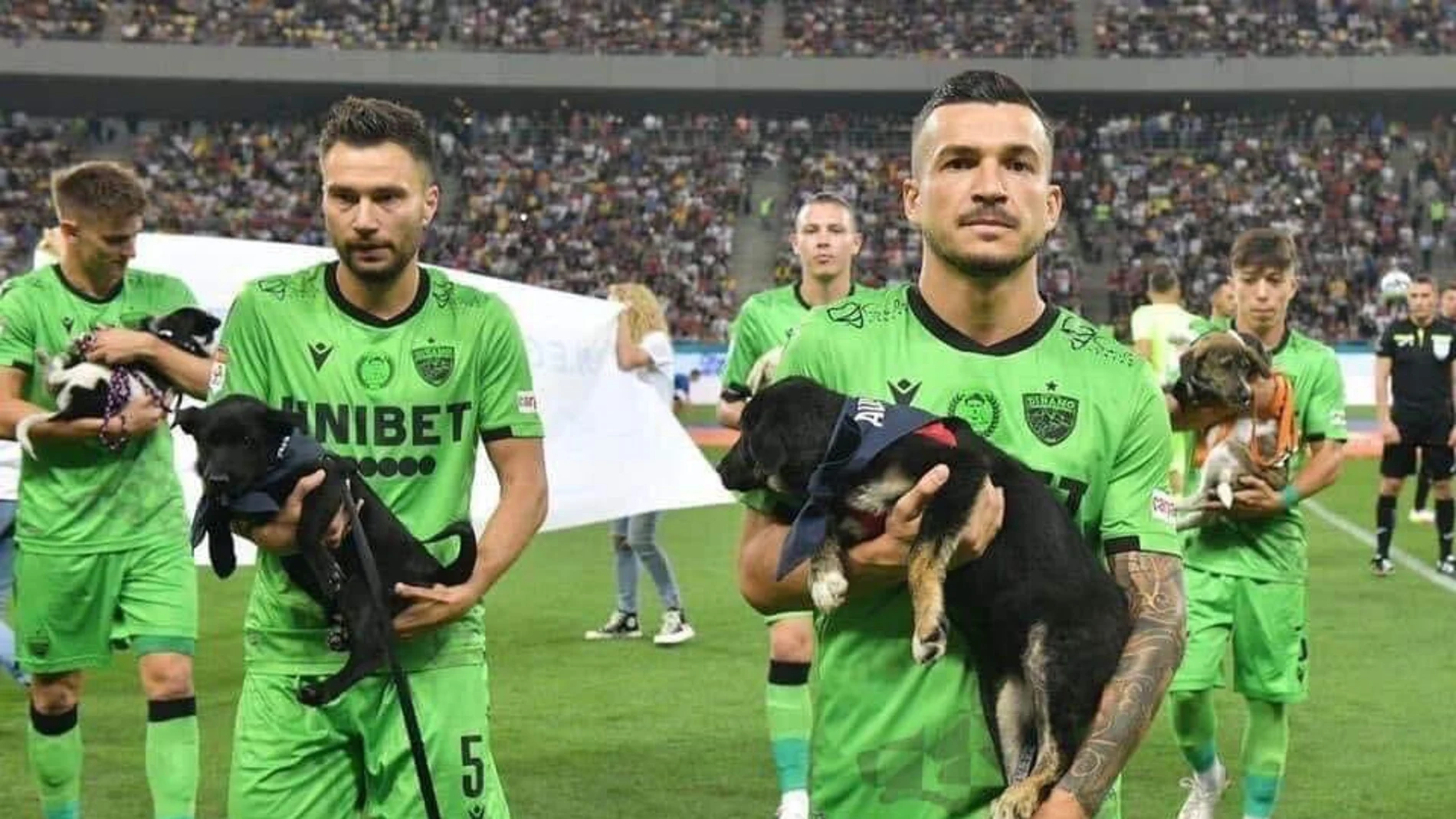 Los equipos rumanos van a ofrecer perros en adopción a sus aficionados antes de cada partido