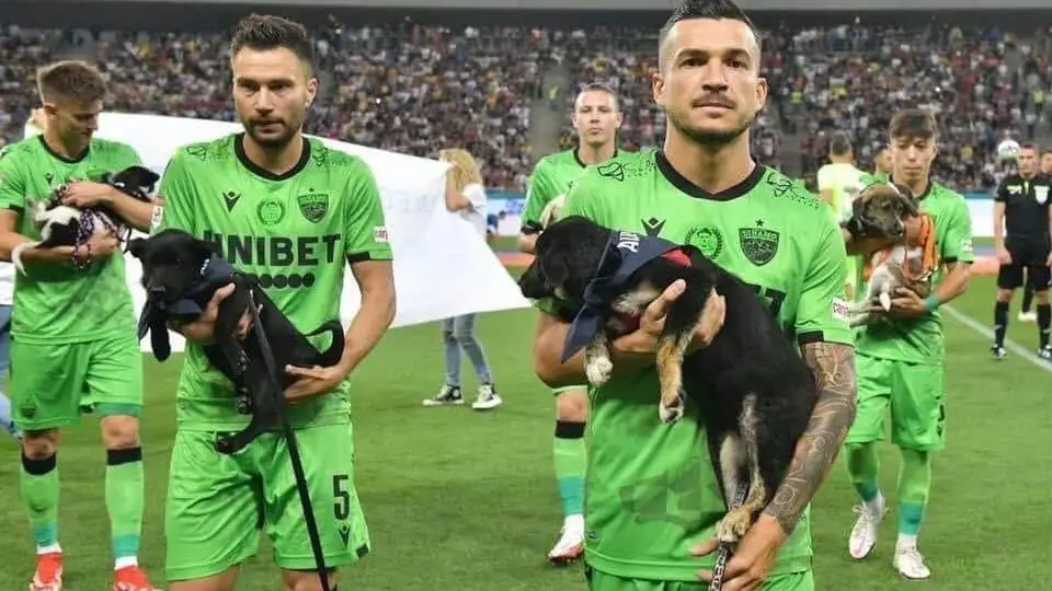 Los equipos rumanos van a ofrecer perros en adopci&oacute;n a sus aficionados antes de cada partido