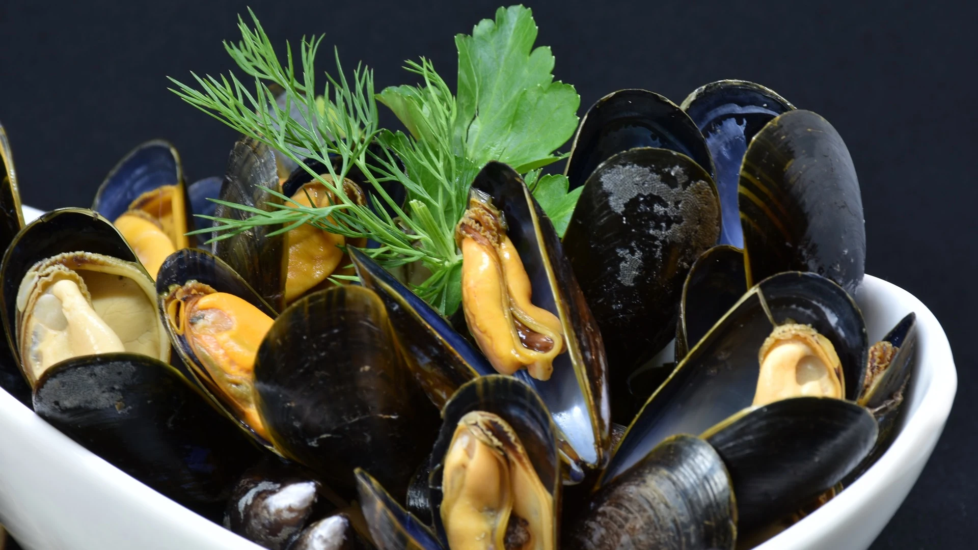 Mejillones Mejillones