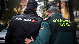 Policía Nacional y Guardia Civil Policía Nacional y Guardia Civil