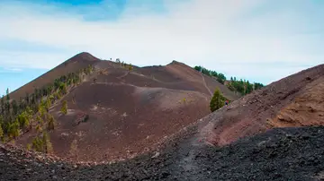 La Palma registra un terremoto de 4.2 grados, el mayor de los registrados hasta el momento La Palma registra un terremoto de 4.2 grados, el mayor de los registrados hasta el momento