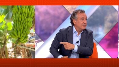 El reto viral del plátano para ayudar a los afectados por el volcán de La Palma que emplaza a Piqué y los actores de La Casa de Papel
