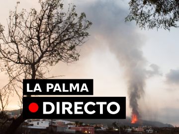 Volcán La Palma: Posibilidades de nube tóxica y lluvia ácida por la erupción de Cumbre Vieja, en directo