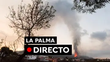 Volcán La Palma: Posibilidades de nube tóxica y lluvia ácida por la erupción de Cumbre Vieja, en directo Volcán La Palma: Posibilidades de nube tóxica y lluvia ácida por la erupción de Cumbre Vieja, en directo