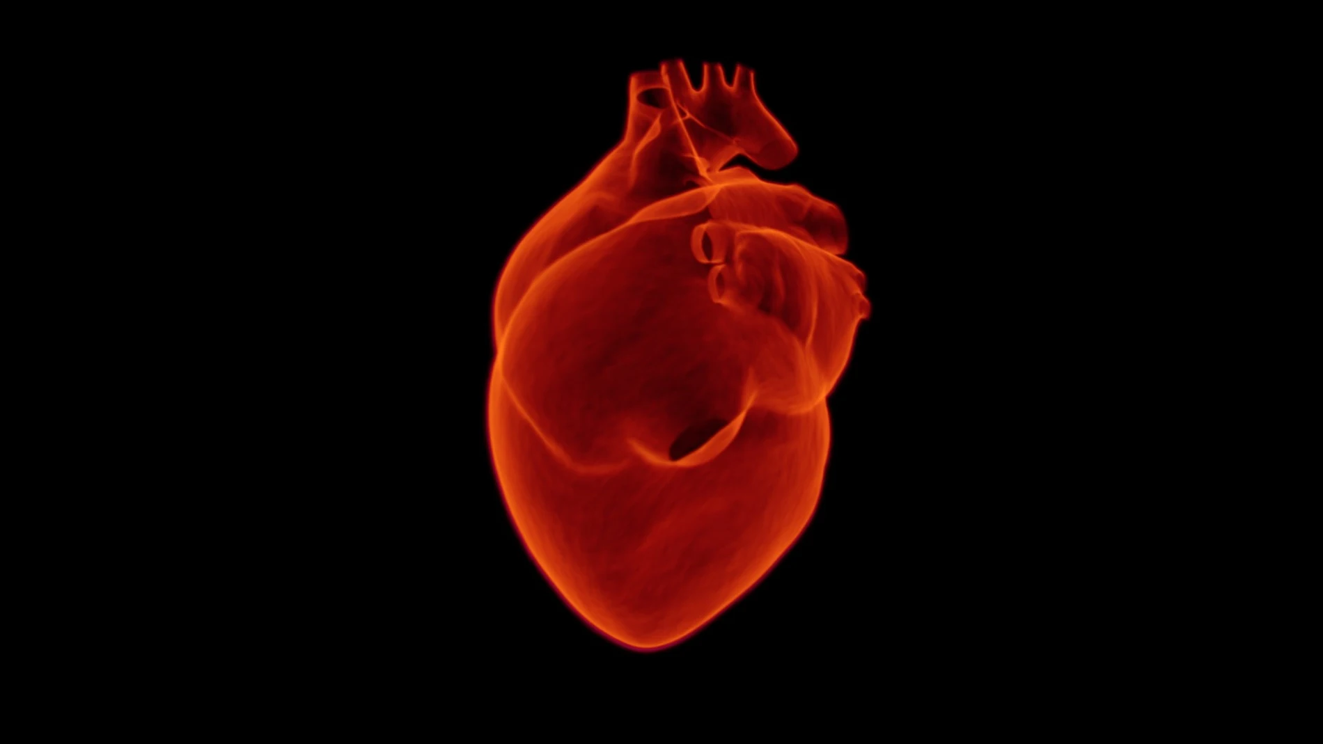 Día Mundial del Corazón 2021: ¿Por qué se celebra el 29 de septiembre?