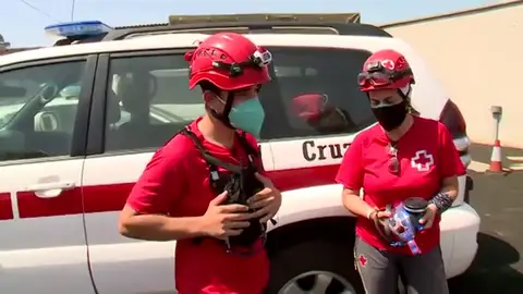 la palma cruz roja la palma cruz roja