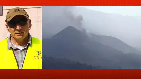 Investigador del CSIC, Manuel Nogales. Investigador del CSIC, Manuel Nogales.