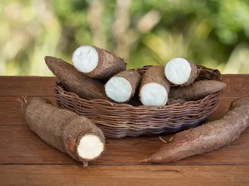 Yuca Yuca