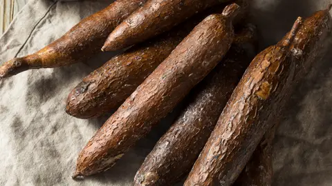Yuca Yuca
