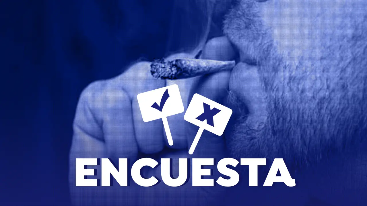 Vota: ¿Estás a favor de que se legalice el consumo de marihuana en España? Vota: ¿Estás a favor de que se legalice el consumo de marihuana en España?