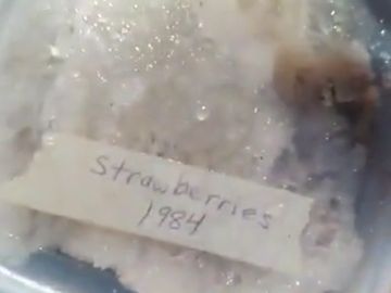 Una tiktoker descubre comida de 1972 en la nevera de su abuela