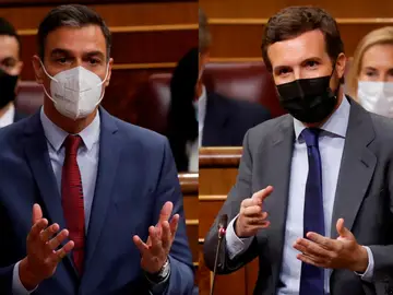 Pedro Sánchez y Pablo Casado en la sesión de control Pedro Sánchez y Pablo Casado en la sesión de control