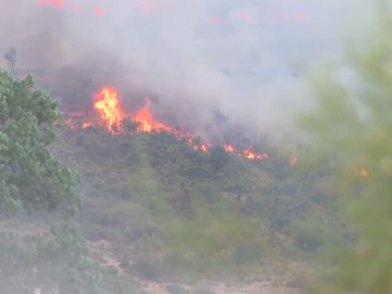 2021, el año de los grandes desastres naturales