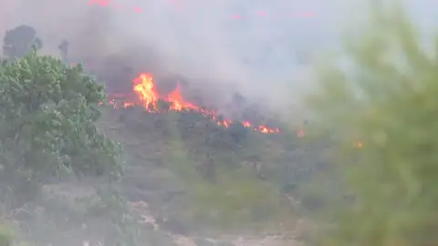 2021, el año de los grandes desastres naturales 2021, el año de los grandes desastres naturales