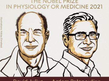 Premio Nobel de Medicina 2021 para David Julius y Ardem Patapoutian "por sus descubrimientos sobre los receptores del tacto"