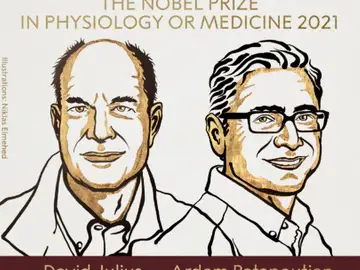 Premio Nobel de Medicina 2021 para David Julius y Ardem Patapoutian "por sus descubrimientos sobre los receptores del tacto" Premio Nobel de Medicina 2021 para David Julius y Ardem Patapoutian "por sus descubrimientos sobre los receptores del tacto"
