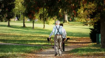 Pensiones Pensiones