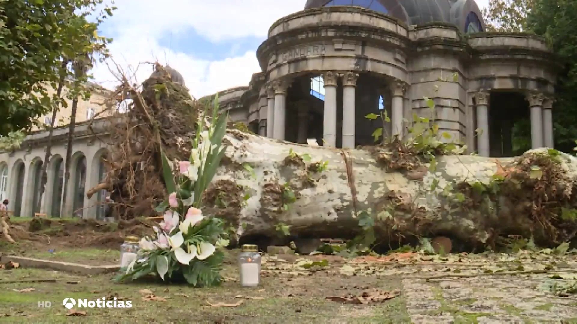 Muere una mujer tras caerle un &aacute;rbol durante un concierto en Pontevedra