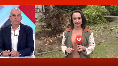 Cae un árbol en Pontevedra y mata a una mujer. Cae un árbol en Pontevedra y mata a una mujer.