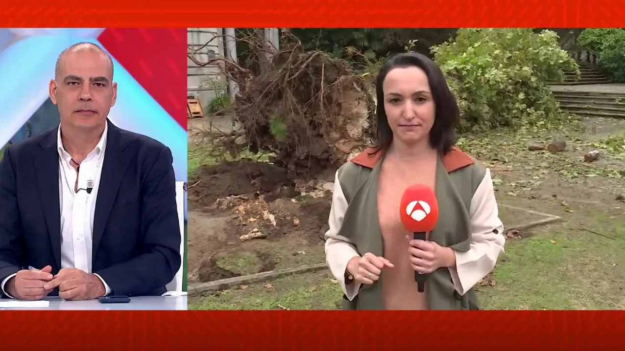 Cae un árbol en Pontevedra y mata a una mujer. Cae un árbol en Pontevedra y mata a una mujer.