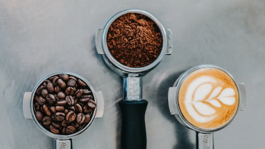 Tipos de café y beneficios nutricionales que no conocías Tipos de café y beneficios nutricionales que no conocías