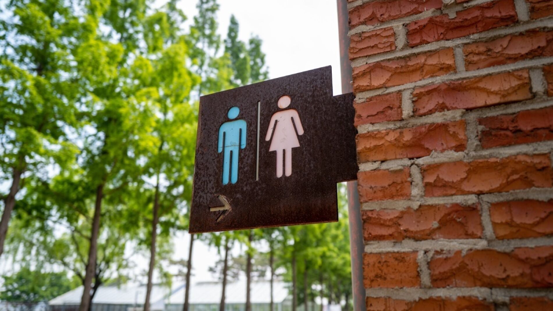 Ba&ntilde;os de chicos y chicas