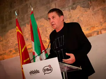 El Tribunal Constitucional admite el recurso de Arnaldo Otegi contra la sentencia del Supremo El Tribunal Constitucional admite el recurso de Arnaldo Otegi contra la sentencia del Supremo