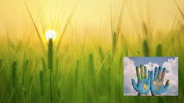 Día Mundial de la Alimentación 2021: ¿Por qué se celebra el 16 de octubre? Día Mundial de la Alimentación 2021: ¿Por qué se celebra el 16 de octubre?