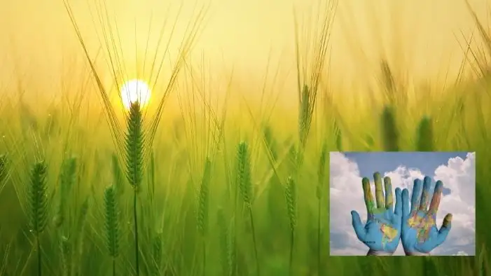 D&iacute;a Mundial de la Alimentaci&oacute;n 2021: &iquest;Por qu&eacute; se celebra el 16 de octubre?