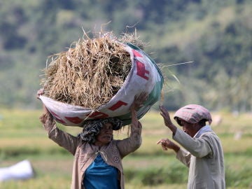 Organizaciones humanitarias alertan de una crisis alimentaria sin precedentes por el cambio climático