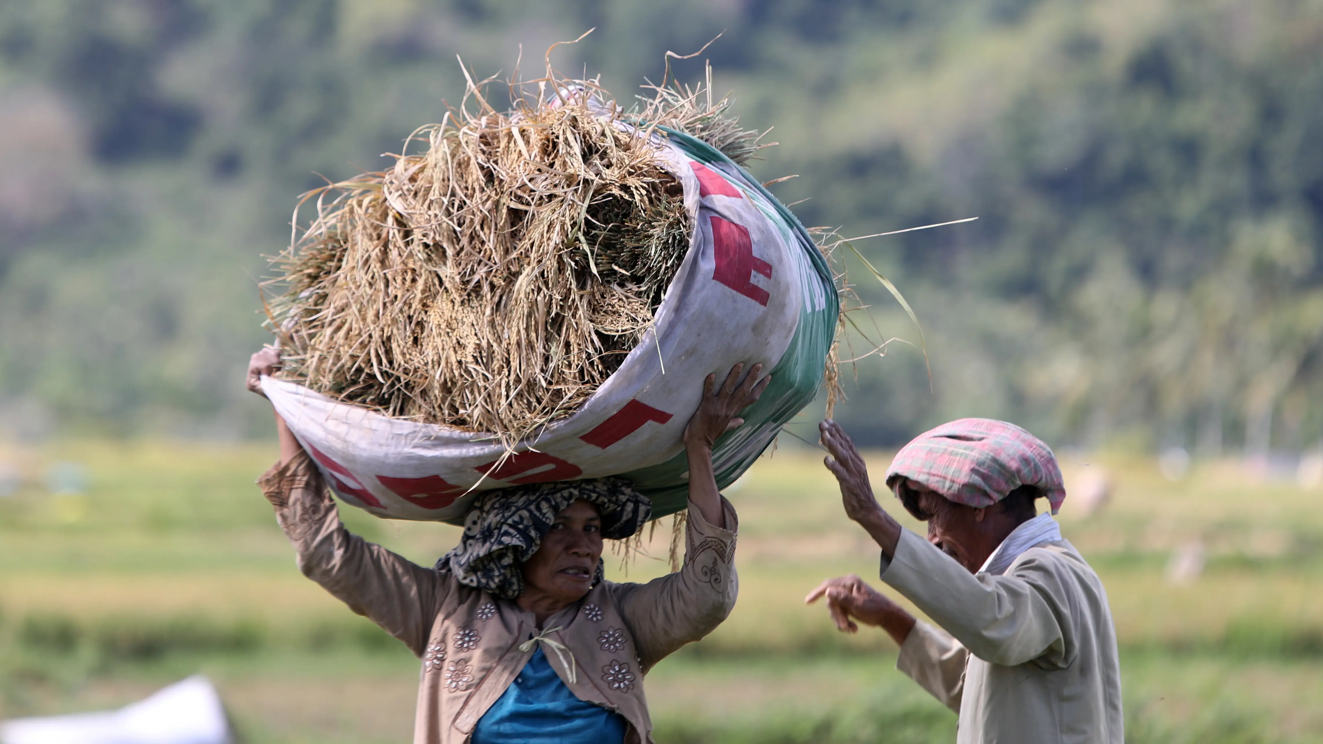 Organizaciones humanitarias alertan de una crisis alimentaria sin precedentes por el cambio climático Organizaciones humanitarias alertan de una crisis alimentaria sin precedentes por el cambio climático