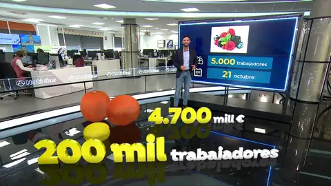 El campo necesita trabajadores para las campañas de recogida agrícola El campo necesita trabajadores para las campañas de recogida agrícola