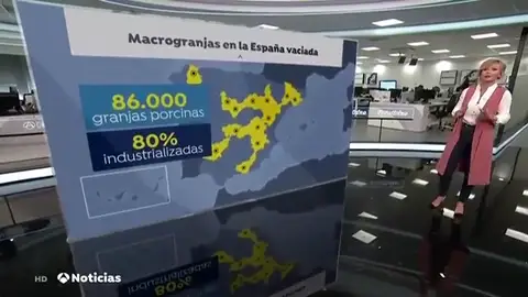 macroganjas de cerdos macroganjas de cerdos