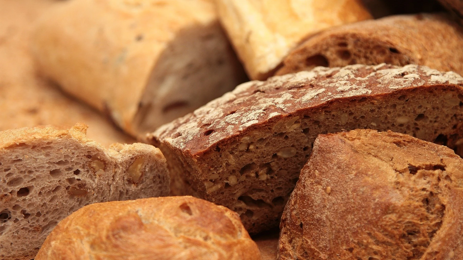 Los diferentes tipos de masa y sus beneficios: pan integral, de centeno, de espelta
