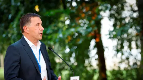 El coordinador general de EH Bildu, Arnaldo Otegi El coordinador general de EH Bildu, Arnaldo Otegi