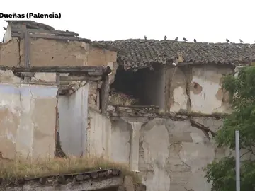 Palacio Buen Día Dueñas, Palencia Palacio Buen Día Dueñas, Palencia