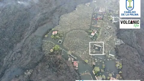 Así será el complejo rescate de los perros atrapados en La Palma Así será el complejo rescate de los perros atrapados en La Palma