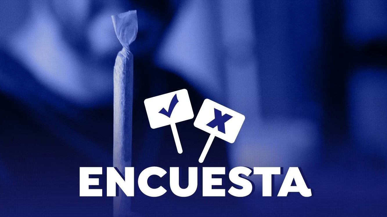 VOTA: &iquest;Est&aacute;s a favor de que se regularice el consumo de cannabis?