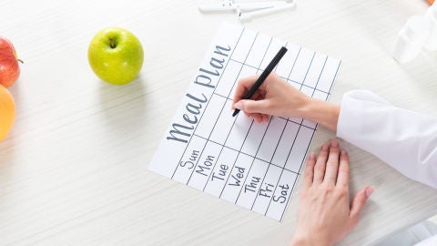 Plan de alimentación
