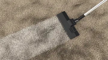 Limpiar la alfombra