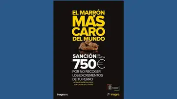 'El marrón más caro del mundo', así recuerda el Ayuntamiento de Granada que no recoger la caca de tu perro te puede costar 750 euros 'El marrón más caro del mundo', así recuerda el Ayuntamiento de Granada que no recoger la caca de tu perro te puede costar 750 euros
