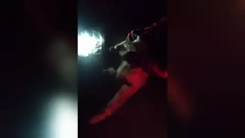 La UME rescata a un gato del volcán de La Palma La UME rescata a un gato del volcán de La Palma